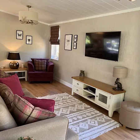 Hollicarrs - Dragonfly 3*