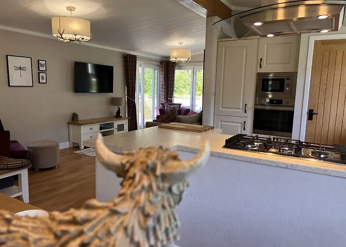 Hollicarrs - Dragonfly 3*