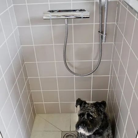 Hollicarrs - Dragonfly