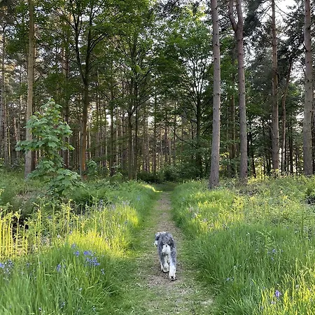 Otel Hollicarrs - Dragonfly